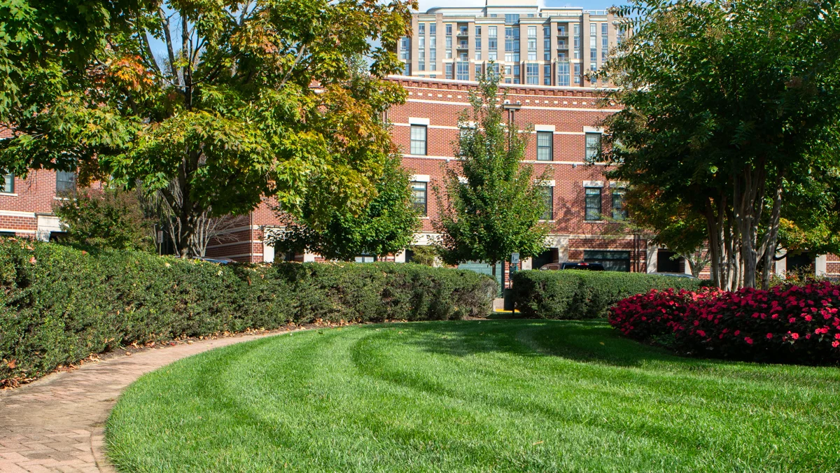 West Market Community Association lawn grass sidewalk